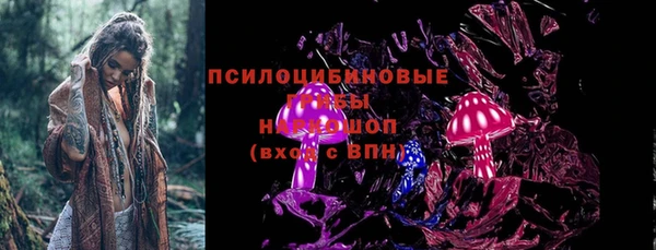 дживик Баксан