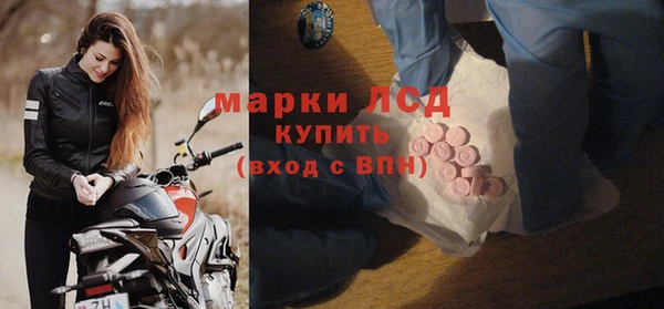 дживик Баксан