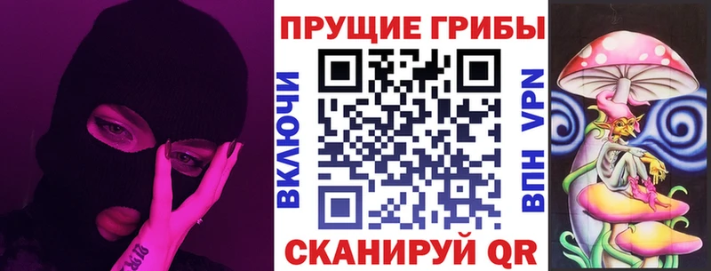 продажа наркотиков  Тырныауз  Галлюциногенные грибы Cubensis 